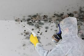 Best Comprehensive Air Testing for Mold Contaminants  in , MS